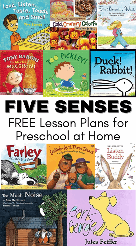 My Five Senses Homeschool Preschool Unit: Week 3