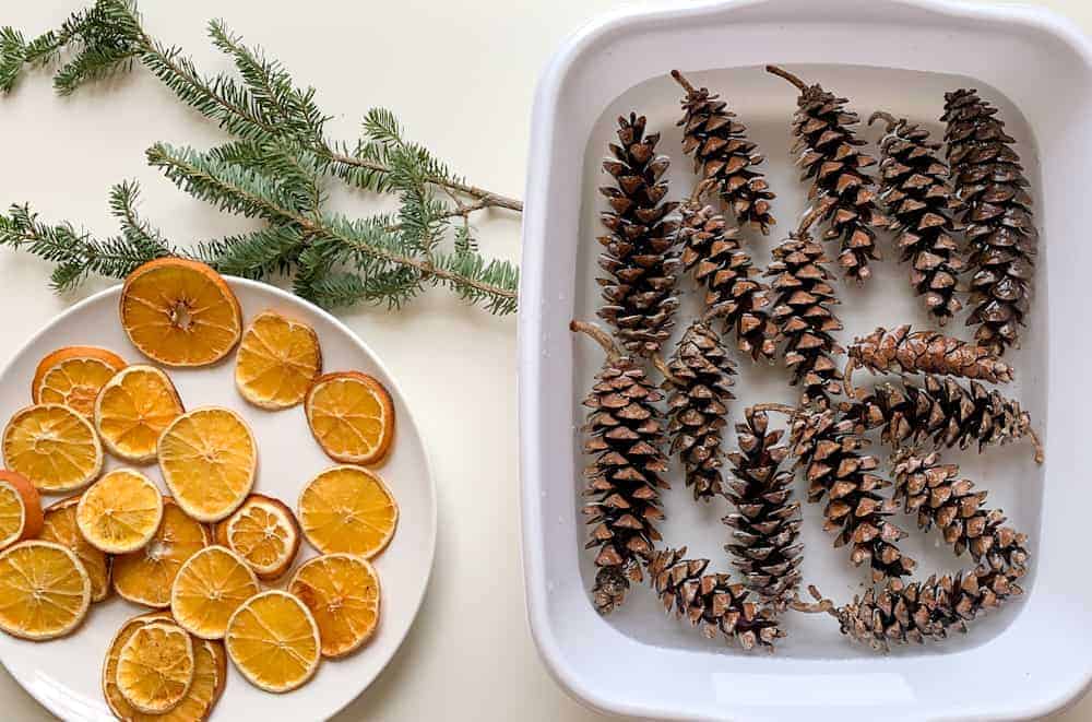 How to Prep and Clean Pine Cones for Kid's Activities